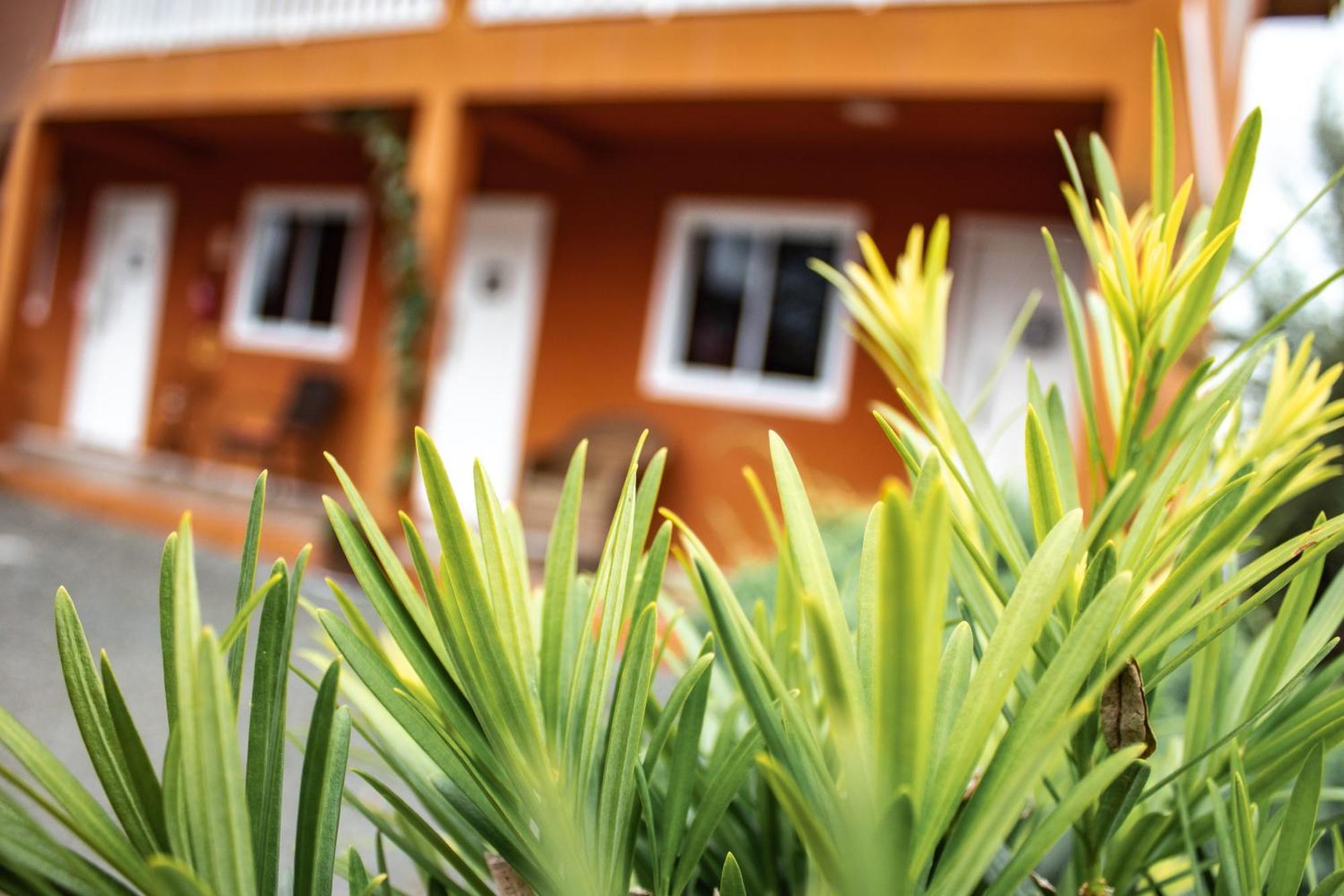 Apartamentos De Altitude Urubici Εξωτερικό φωτογραφία